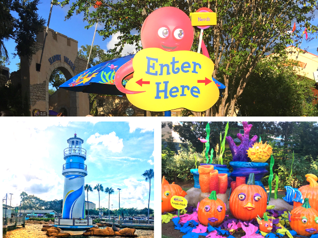 SeaWorld Spooktacular Halloween with colorful pumpkin patch. Keep reading to learn about things to do in Orlando for Halloween and things to do in Orlando for October.