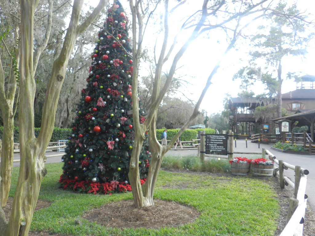 Christmas at Fort Wilderness Cabins with large Christmas Tree outdoors. Keep reading to learn about the best Disney Resorts at Christmas!