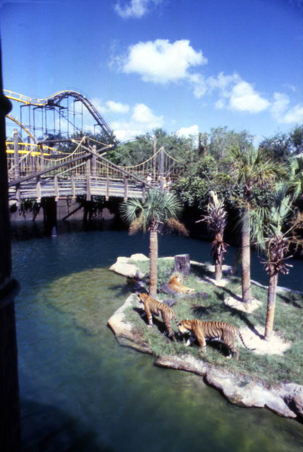Python Roller Coaster at Busch Gardens Tampa Yellow Arrow Development Photo Credit: Florida Memory