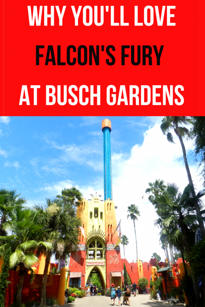 falcons fury at busch gardens