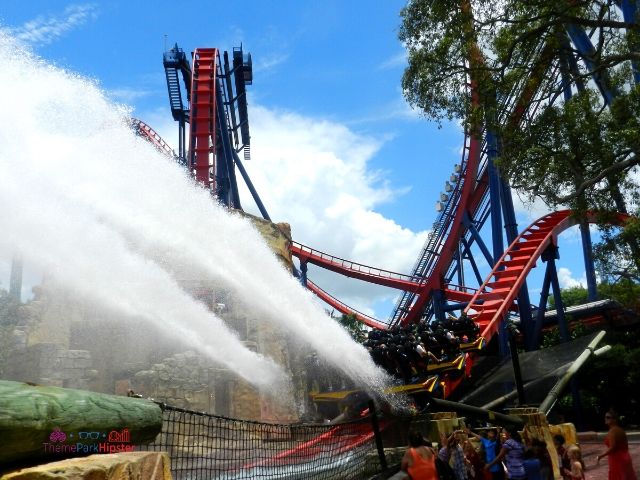 Sheikra Busch Gardens Water Splash Zone using Groupon Busch Gardens Tampa deal for tickets.