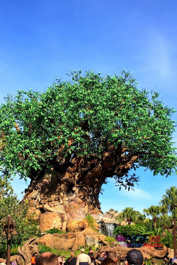 Animal Kingdom Tree of Life. Choose this Disney park when figuring out how many days at Disney World.