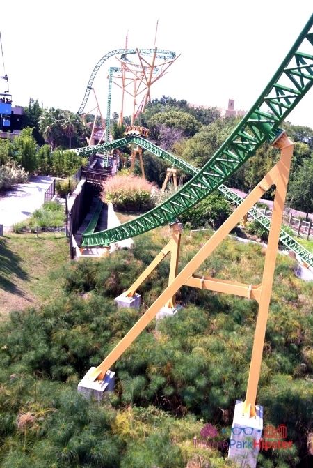 Cheetah Hunt roller coaster Drop at Busch Gardens Tampa