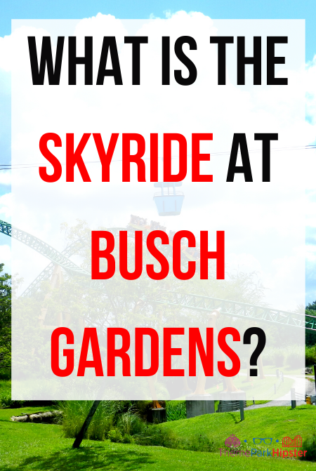What is the skyride at Busch Gardens Tampa Bay?
