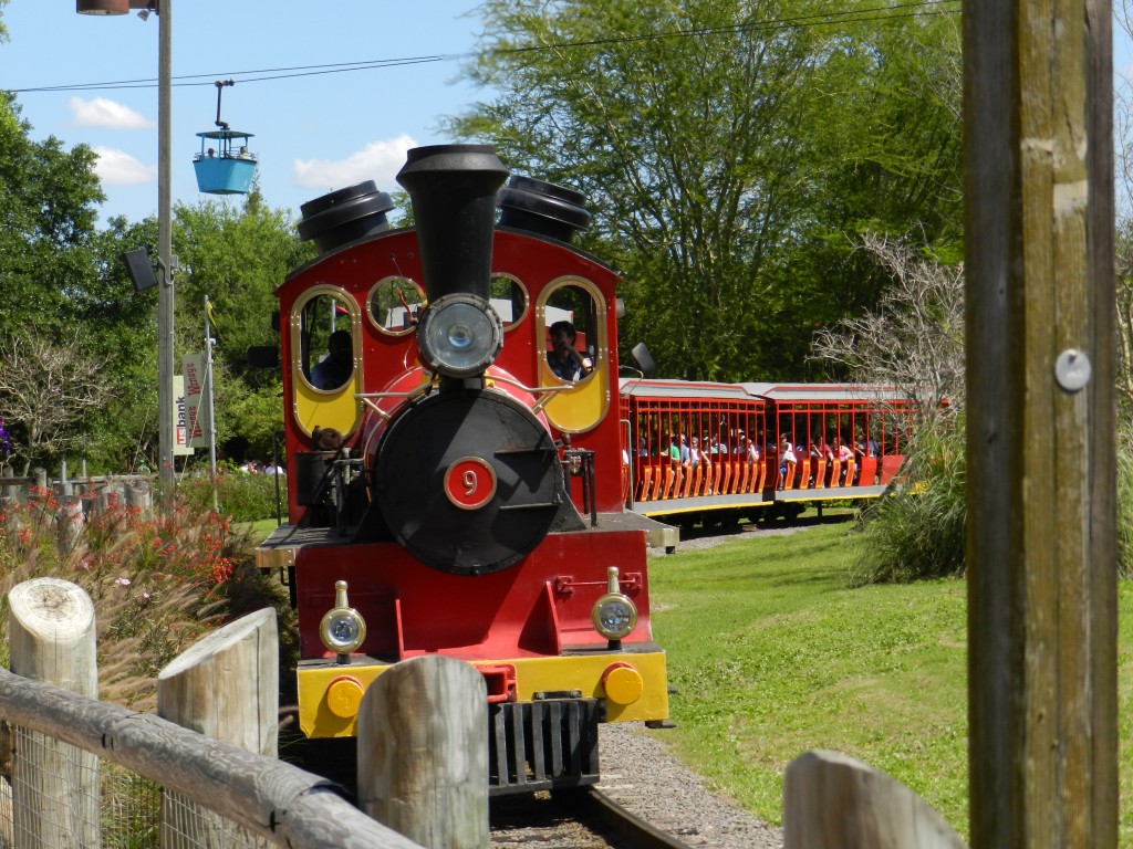 Busch Gardens Tampa Bay Red, Black and Yellow Train. One of Busch Gardens Must Do's. Photo copyright ThemeParkHipster.