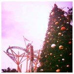 Christmastown at Busch Gardens with Cheetah Hunt Roller Coaster and Tall Christmas Tree