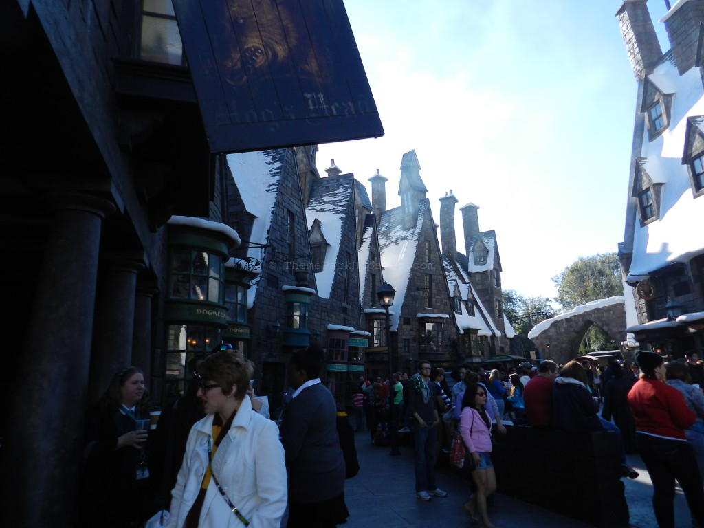 Wizards and witches gathering in Hogsmeade at the Harry Potter Celebration