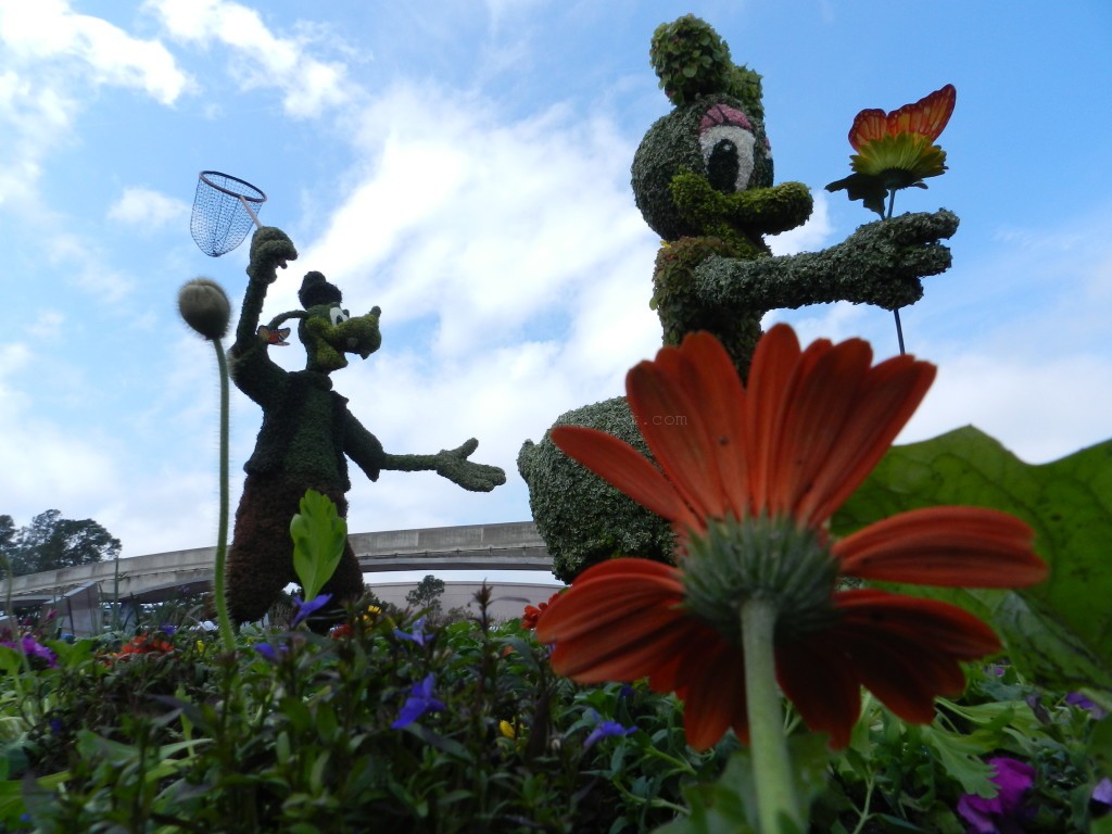 Epcot Flower and Garden Festival 2014 with Daisy Duck and Goofy Topiaries