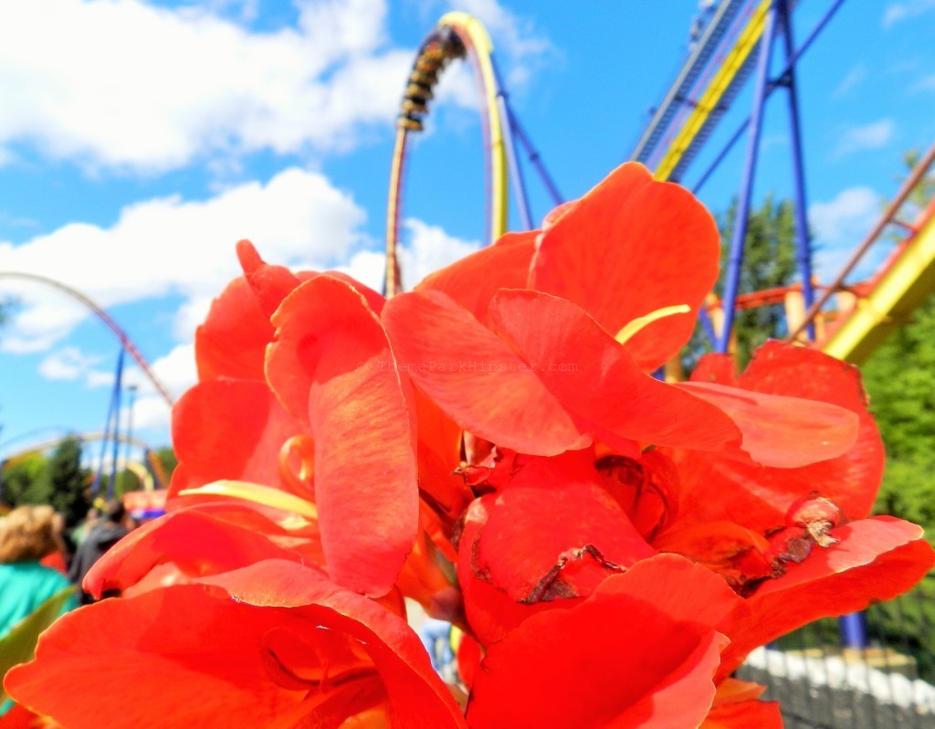 Mantis Cedar Point Roller Coaster now Rougarou roller coaster.