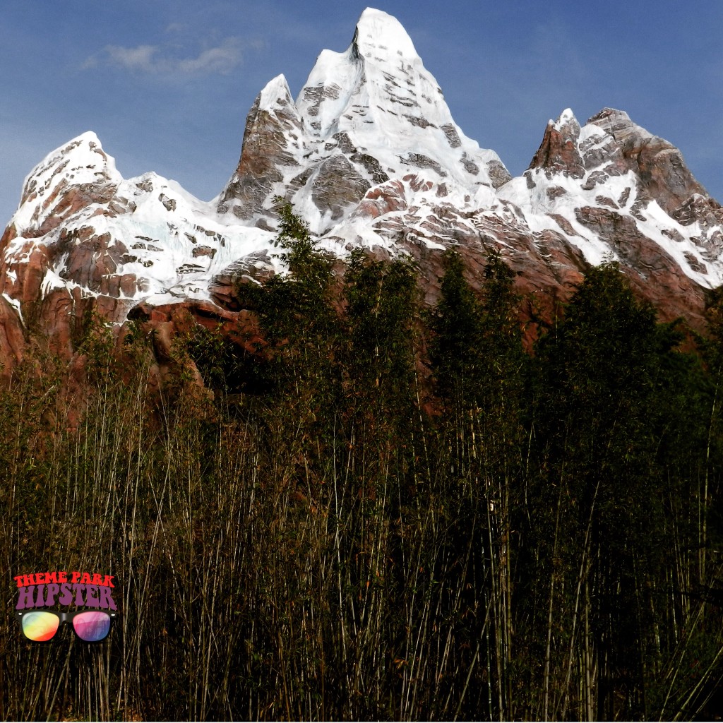 Animal Kingdom's Expedition Everest. One of the best thrill rides at Disney World.