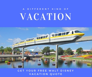 Walt Disney Vacation Package