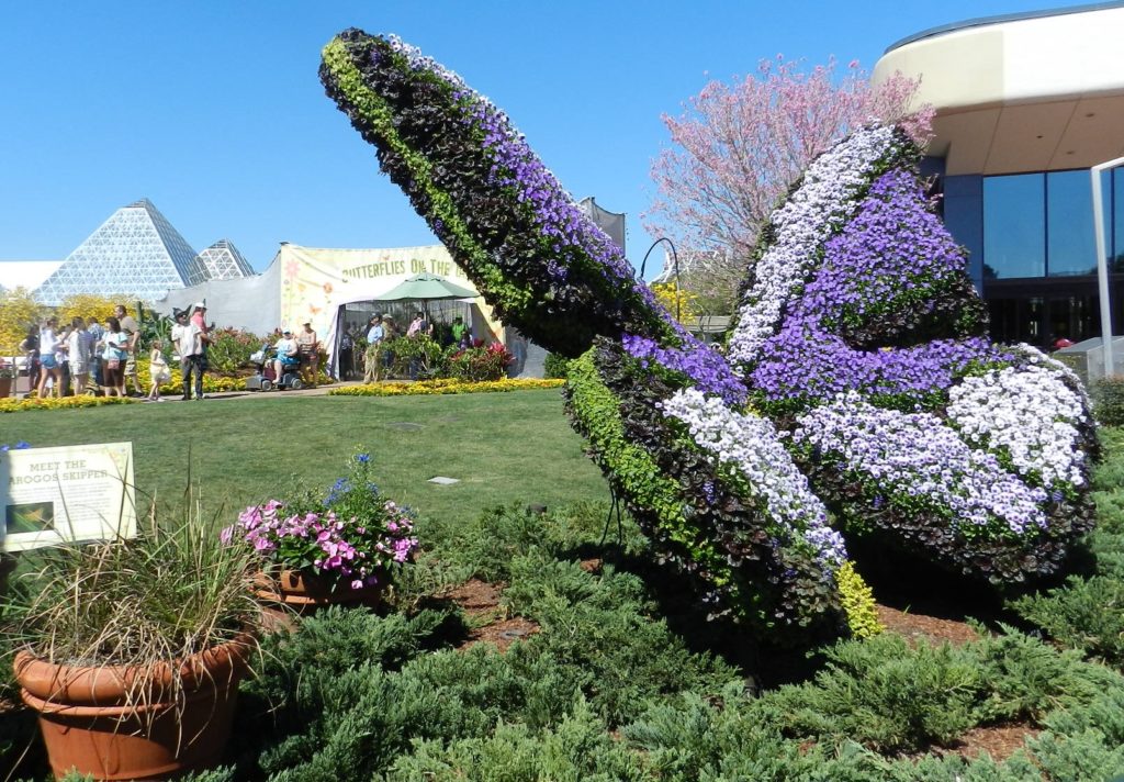 Butterfly Topiary at the Epcot Flower and Garden Festival 2016