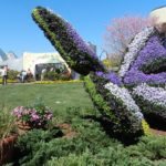 Butterfly Topiary at the Flower and Garden Festival 2016