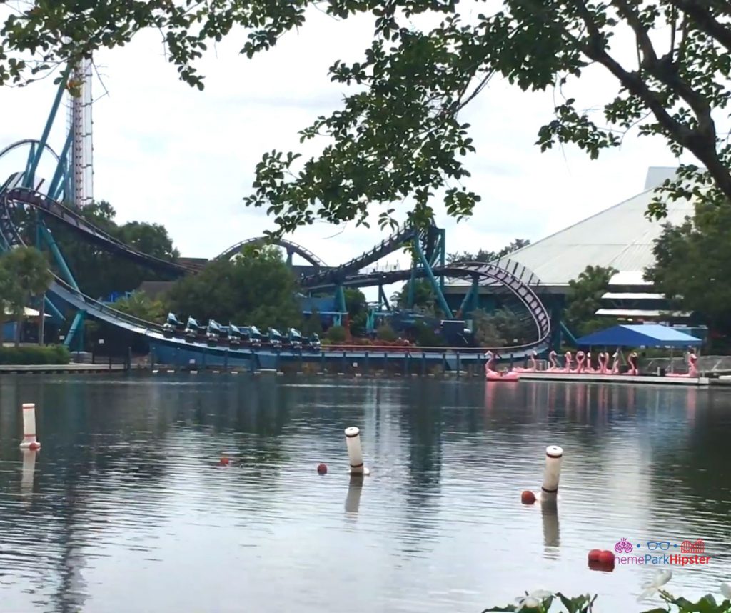 Mako at SeaWorld Orlando Purple and Deep Blue Roller Coaster