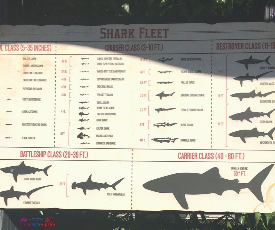 Mako SeaWorld Orlando Shark Fleet Education