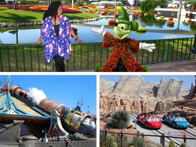 Go to a Theme Park Alone colorful flowers at Epcot