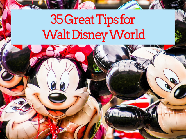Disney World Tips You Should Know