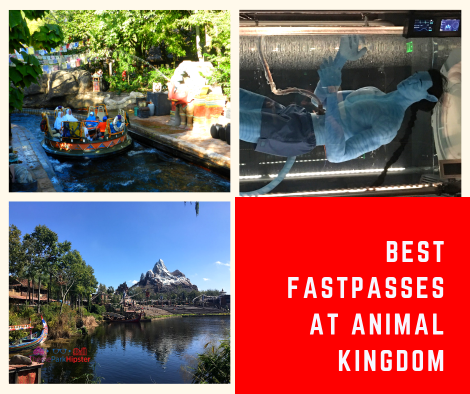 Best Animal Kingdom Rides. Disney FastPass secrets to remember for your trip.