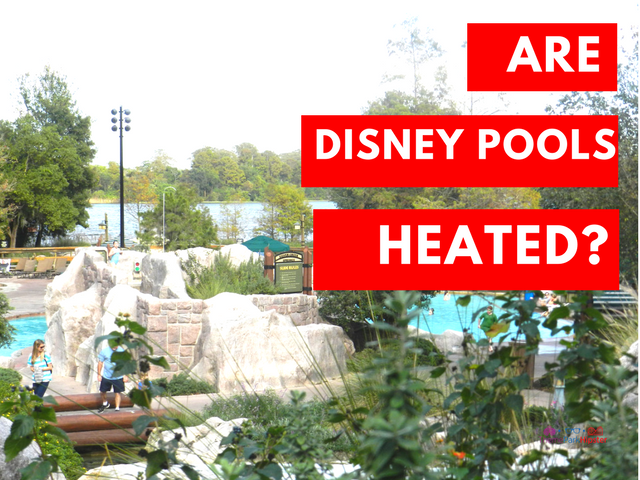 are-disney-pools-heated-themeparkhipster