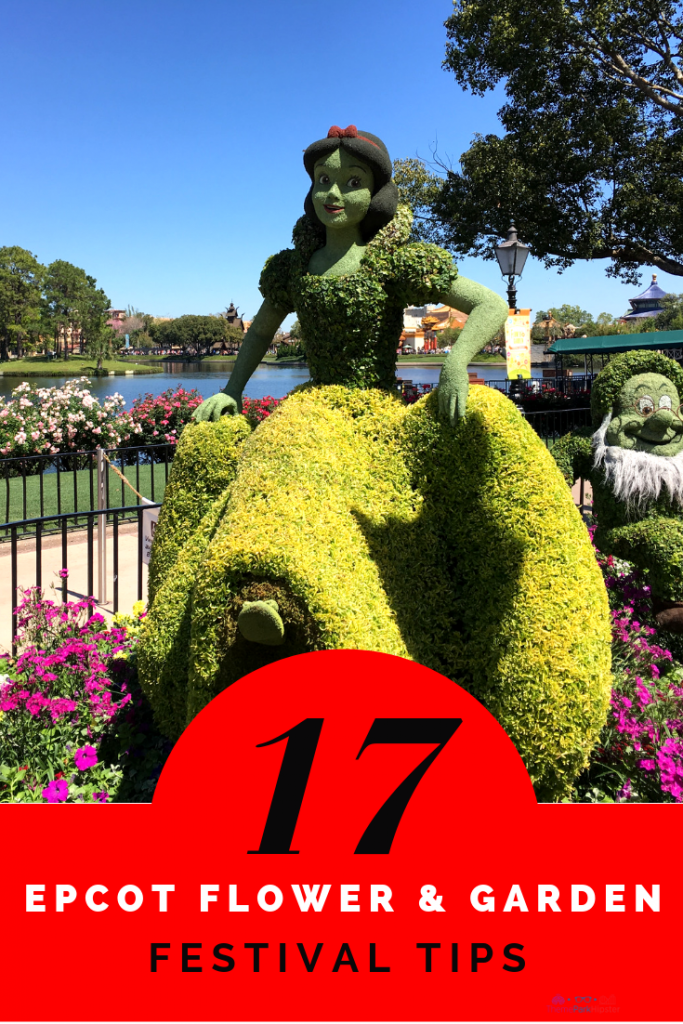 Top tips for EPCOT flower and garden festival with Snow White topiaries #epcot #disney tips