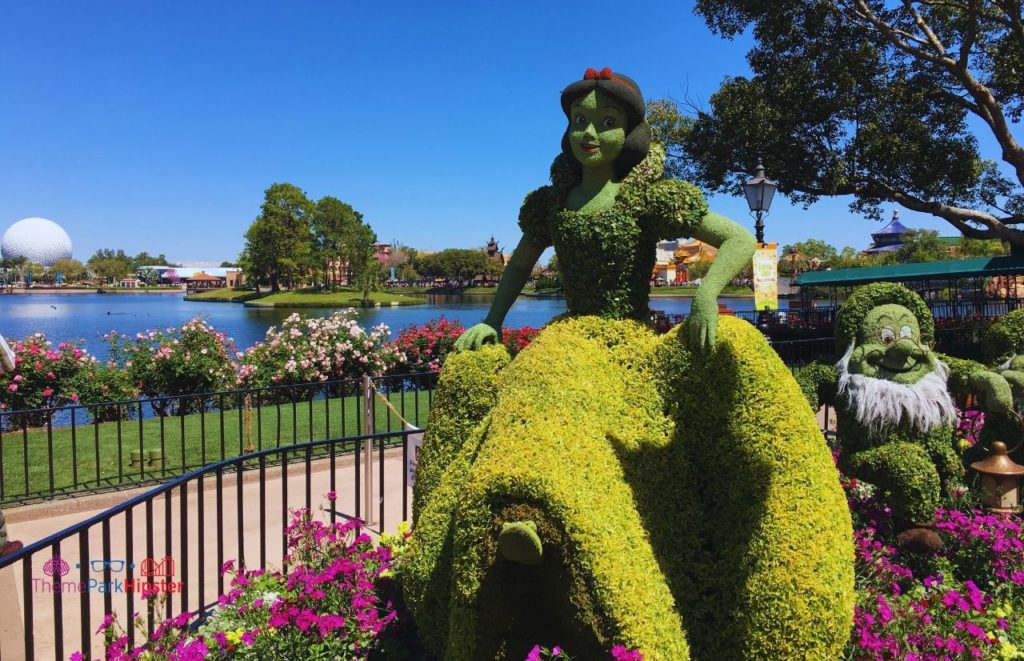 Snow White and Seven Dwarfs topiary at Epcot Flower and Garden Festival. Keep reading to see the best epcot flower and garden topiaries through the years!