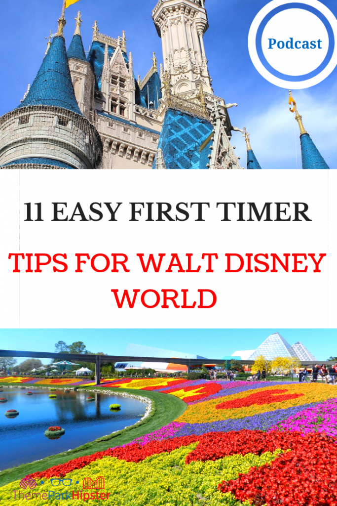 DISNEY WORLD TIPS FOR FIRST TIMERS