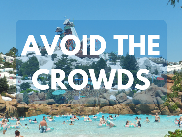 Avoid the crowds at walt disney world. Best time to go to Disney World.