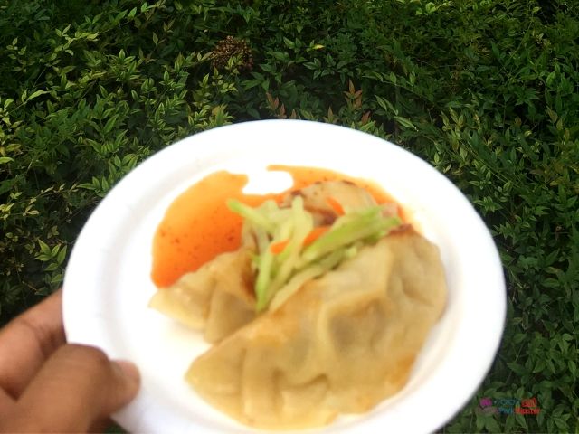 Epcot Food and Wine Chicken Pot Stickers in China