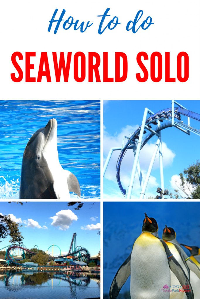 SeaWorld Solo Tips with dolphins and more animals to see. #SeaWorld #orlando #themepark