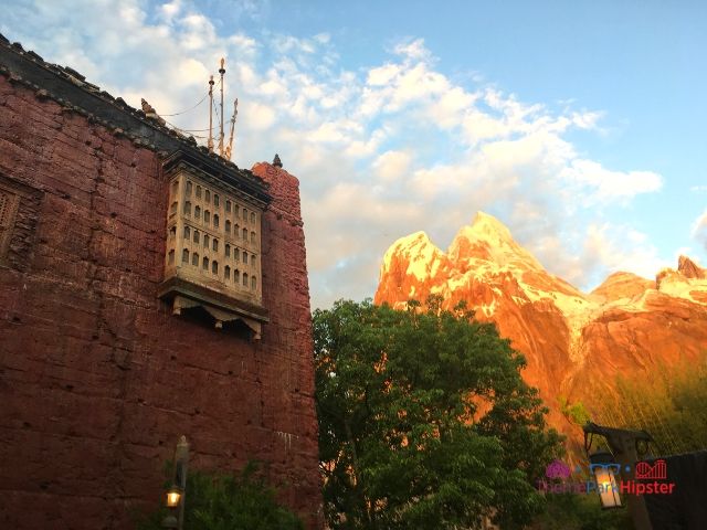 Asia Animal Kingdom Expedition Everest. One of the best thrill rides at Disney World.
