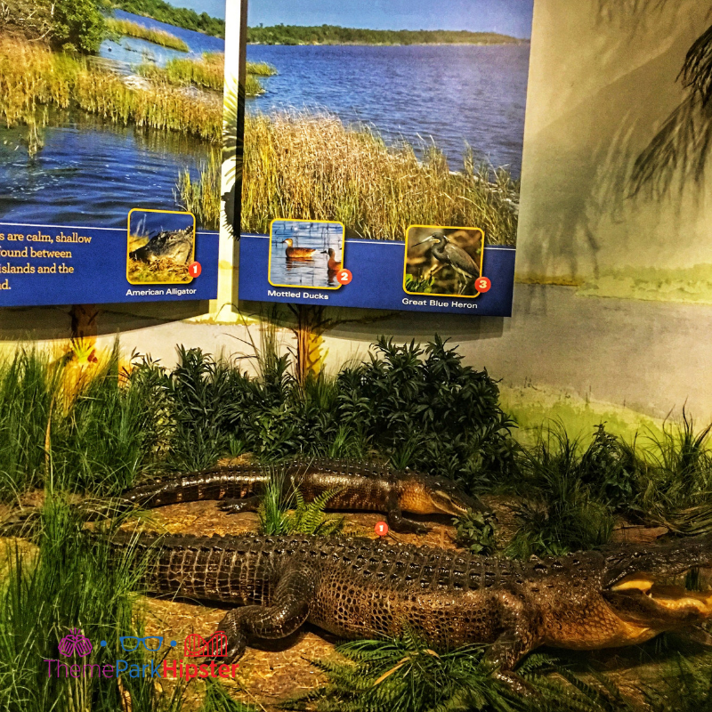 Kennedy Space Center Alligator Nature and Technology Building