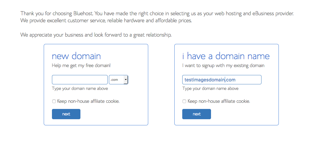 Bluehost domain name selection
