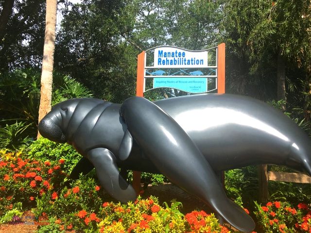 2021 Seaworld Orlando Ultimate Guide Review Themeparkhipster