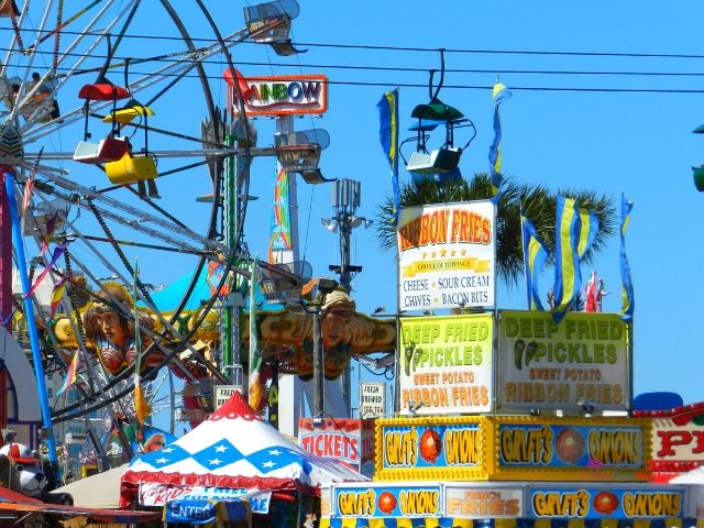 are dogs allowed at the florida state fair