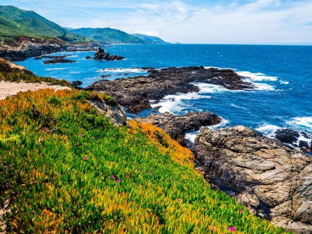 Pacific Coast Highway California Road Trip. Keep reading to discover all you need to know about how to plan the best 7 day California road trip itinerary.