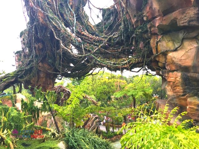 Flight of Passage Queue Outdoor Area at Disney Animal Kingdom 