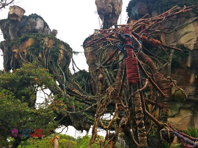 Flight of Passage Queue Outdoor Area at Disney Animal Kingdom 