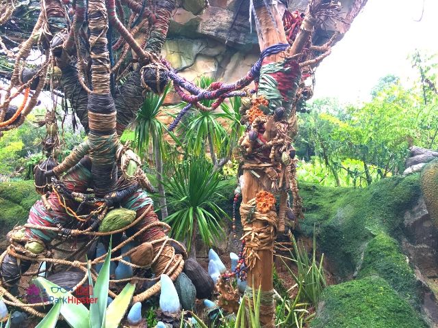 Flight of Passage Queue Outdoor Area at Disney Animal Kingdom