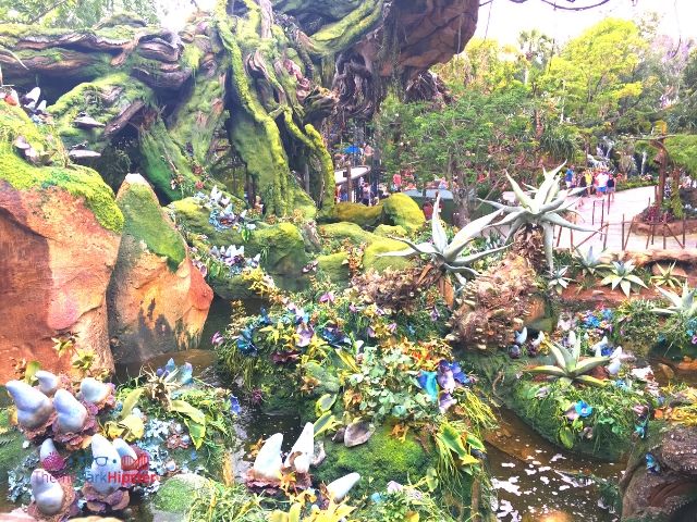 Flight of Passage Queue Outdoor Area at Disney Animal Kingdom 