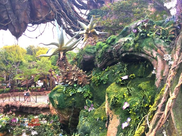 Flight of Passage Queue Outdoor Area at Disney Animal Kingdom 