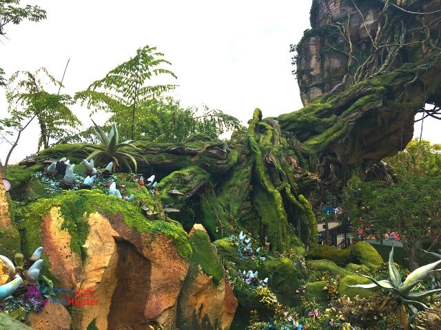 Flight of Passage Queue Outdoor Area at Disney Animal Kingdom 