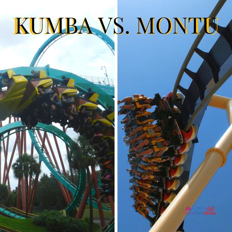 Ultimate Guide To Conquering Montu At Busch Gardens Themeparkhipster