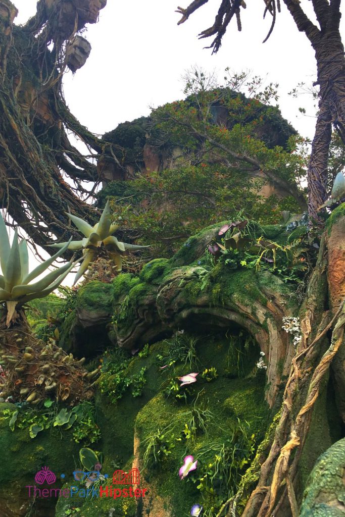 Pandora Flight of Passage Outdoor Queue Entrance with Floating Mountains