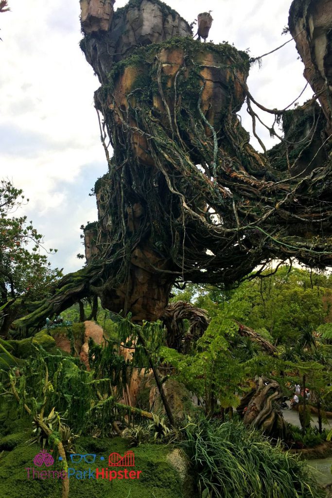 Pandora Flight of Passage Outdoor Queue with Floating Mountains 