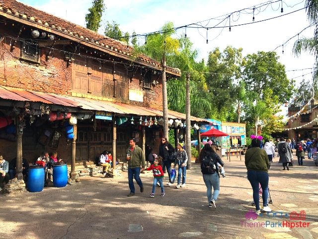 Asia section of Animal Kingdom. Keep reading to learn what to pack and what to wear to Disney World in January.