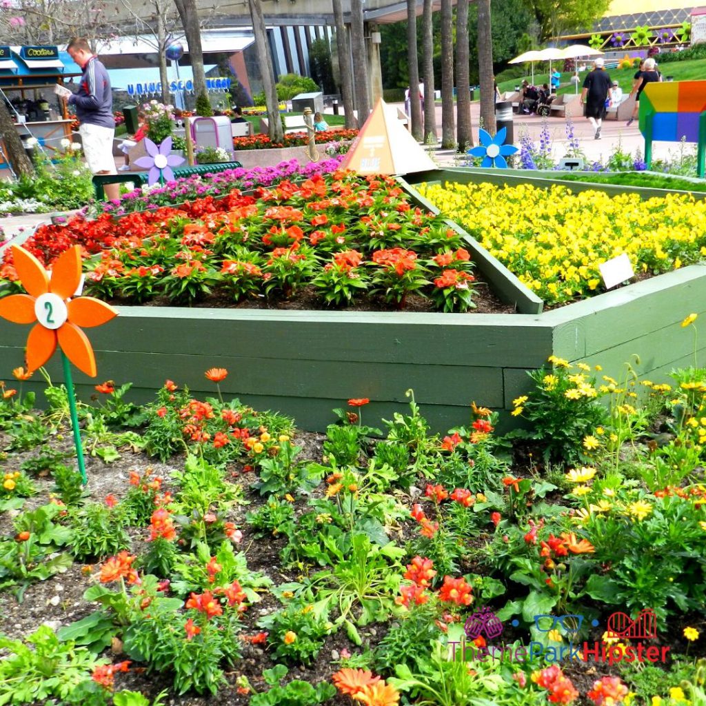 Epcot Flower and Garden Festival Garden Area