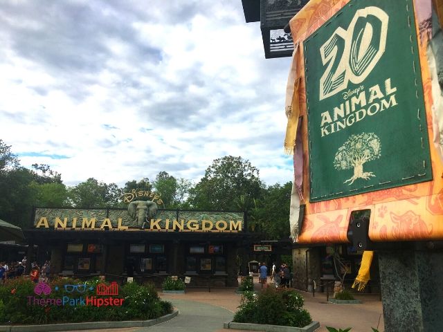 13 Pro Tips For Disney's Animal Kingdom to Make Your Day Easy -  ThemeParkHipster