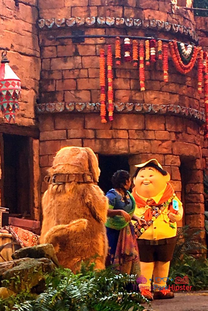Up Show at Animal Kingdom in Asia Section