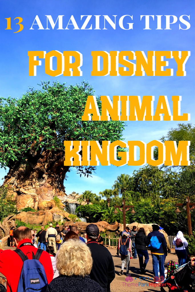 13 fantastiska Animal Kingdom-tips