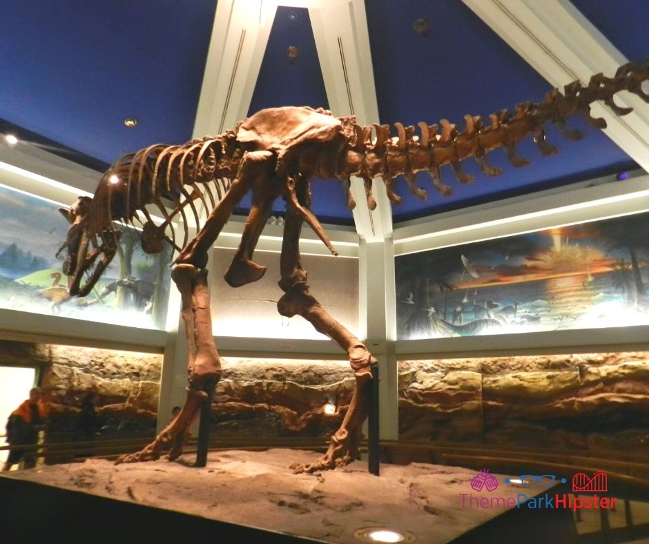 Le manège Dinosaur Kingdom avec le squelette de Tyrannosaurus Rex